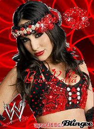 Image result for Nikki Bella John Cena Daneil Bryan Brie Bella