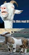 Image result for Top Memes Trending Funny Real Life