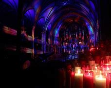 Image result for Notre Dame Christmas Lights