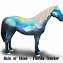 Image result for Florida Cracker Horse