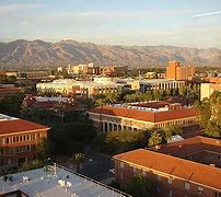 Image result for University of Arizona Dgree
