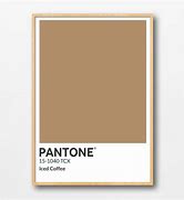 Image result for Coffee Pantone Color