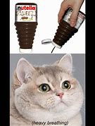Image result for Heavy Breather Cat Meme