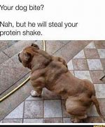 Image result for Average Dog Food Protein Meme