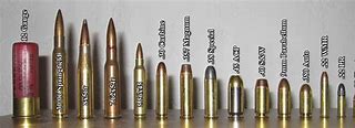 Image result for 50 Cal vs .223