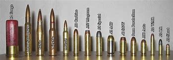 Image result for 50 Cal vs .223