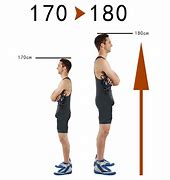 Image result for 170 Cm to Feet and Inches