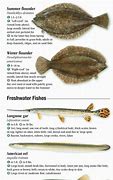 Image result for Chesapeake Bay Fish Species