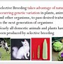 Image result for Cloning Animals Pros and Cons