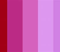 Image result for Dark Fuchsia Color