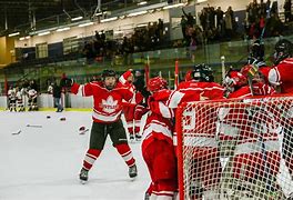 Image result for Rustlers Hockey