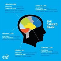Image result for What Does a Gamers Brain Look Like