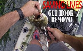 Image result for Gut Hook Bass