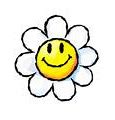 Image result for Wildflower Smiley Flower Case