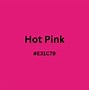 Image result for Hot Pink Paint