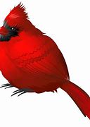 Image result for Cardinal 7s