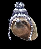 Image result for Weird Sloth Art