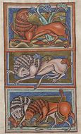 Image result for Medievel Bestiary