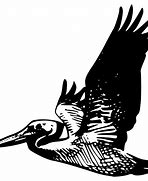 Image result for Pelican Outline PNG