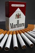 Image result for Marlborough Cigarettes Brands