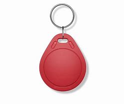Image result for Key FOB D-Ring