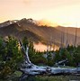 Image result for Olympic National Park Primitive Camping