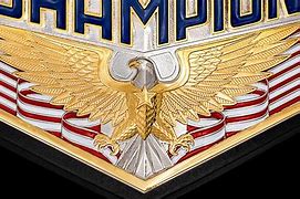 Image result for New United States Championship