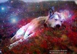 Image result for Kawaii Anime Wolf Girl Galaxy