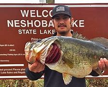 Image result for Largemouth Bass MS