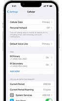 Image result for Cellular Secondary Line iPhone