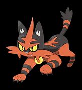 Image result for Torracat