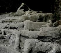 Image result for Pompeii Volcano Where