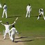 Image result for England Cricket No. 68