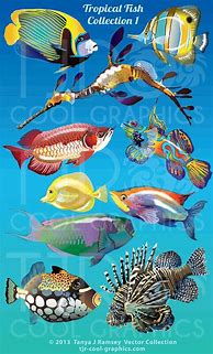 Image result for Sea Life Fish Clip Art