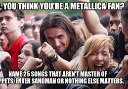 Image result for Metallica Fan Meme