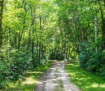 Image result for Choosing Between Two Roads
