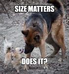 Image result for Size Matters 7