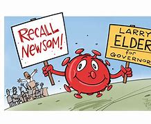 Image result for Gavin Newsom Cartoon