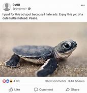 Image result for Excited Baby Turtle Meme