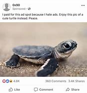 Image result for Strong Turtle Memes