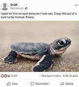 Image result for Baby Turtle Memes