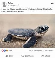 Image result for Turtle Head Meme