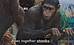 Image result for Apes Together Stonks