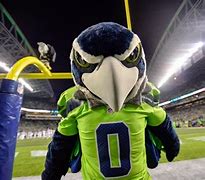 Image result for Seahawks Mascot