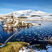 Image result for Snowdonia Whals
