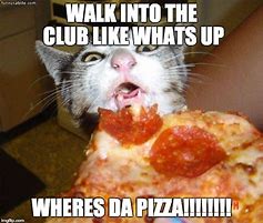 Image result for Cat Dressed a a Pizza Meme