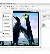Image result for corel_photo paint