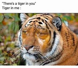 Image result for Sad Funny Picture for Meme