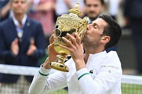 Image result for Djokovic Wimbledon