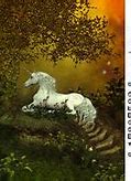 Image result for Mystical Unicorn Drawings